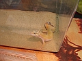 DSC00105
