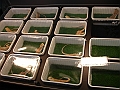 DSC00125