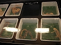 DSC00126
