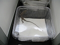 DSC00140