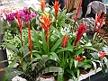 DSC00156