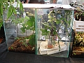 DSC00158