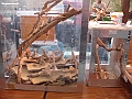 DSC00168