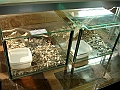DSC00177