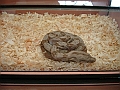 DSC00181