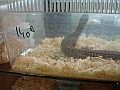 DSC00182