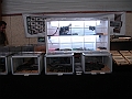 DSC00191