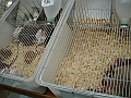 DSC00207