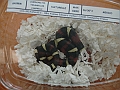 DSC00210