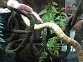 DSC00219