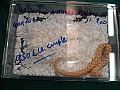 DSC00221