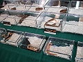 DSC00226