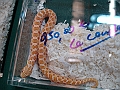 DSC00227