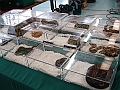 DSC00235