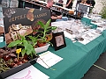 DSC00249