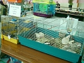 DSC00250
