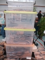 DSC00256