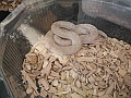 DSC00260
