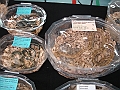 DSC00263