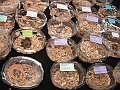 DSC00270