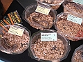 DSC00271