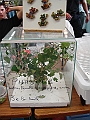 DSC00280