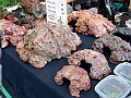 DSC00285