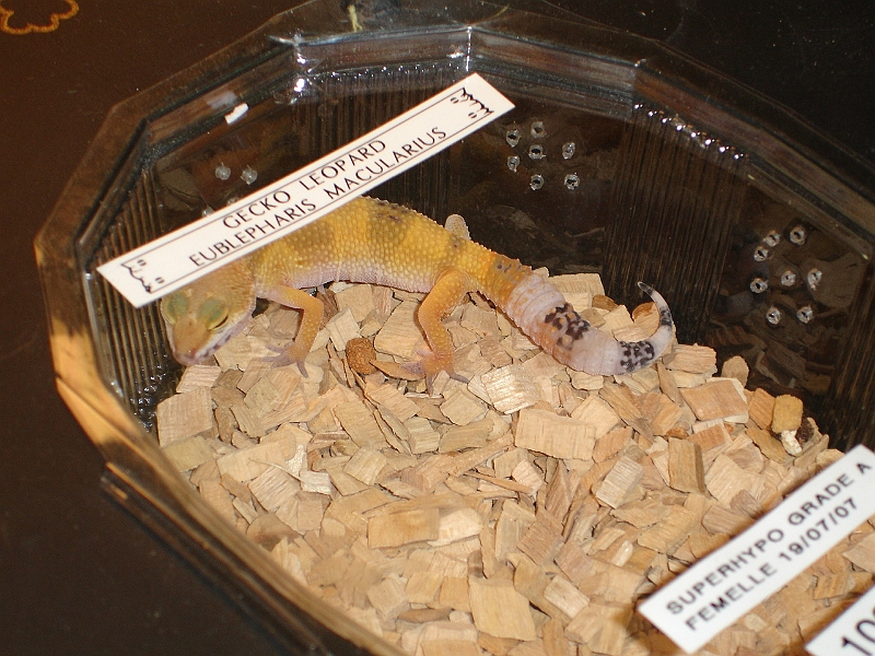 DSC09158.JPG