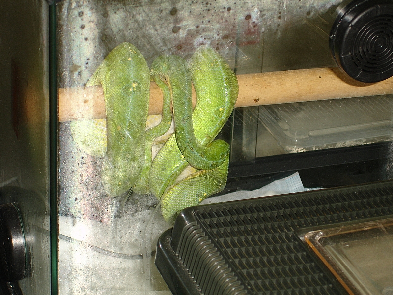 DSC09161.JPG