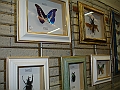 DSC09151