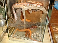 DSC09153