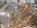 DSC09154