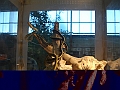 DSC09155