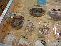 DSC09168
