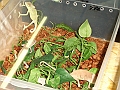 DSC09172