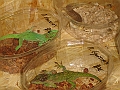 DSC09174