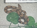 DSC09180