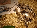 DSC09182