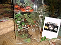 DSC09185