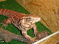 DSC09192