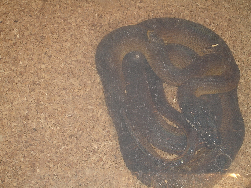 DSC06745.JPG