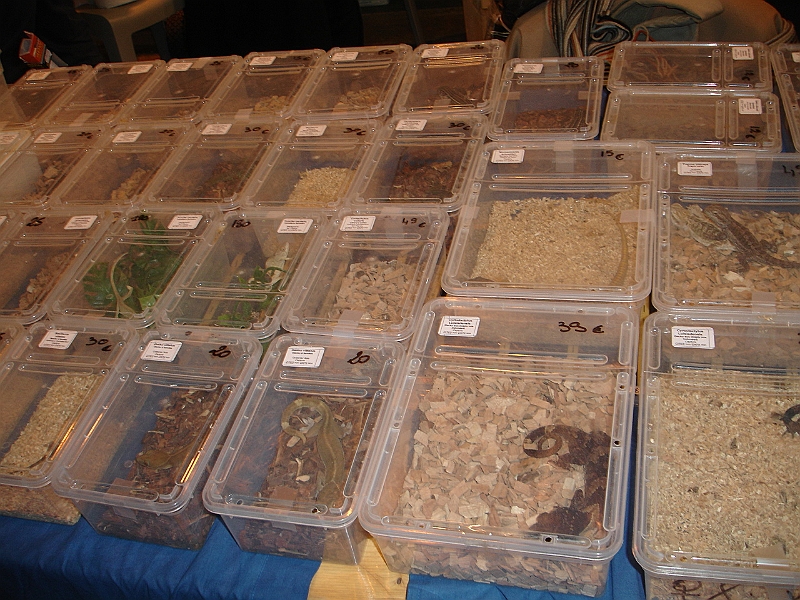 DSC06770.JPG