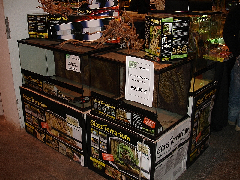 DSC06783.JPG
