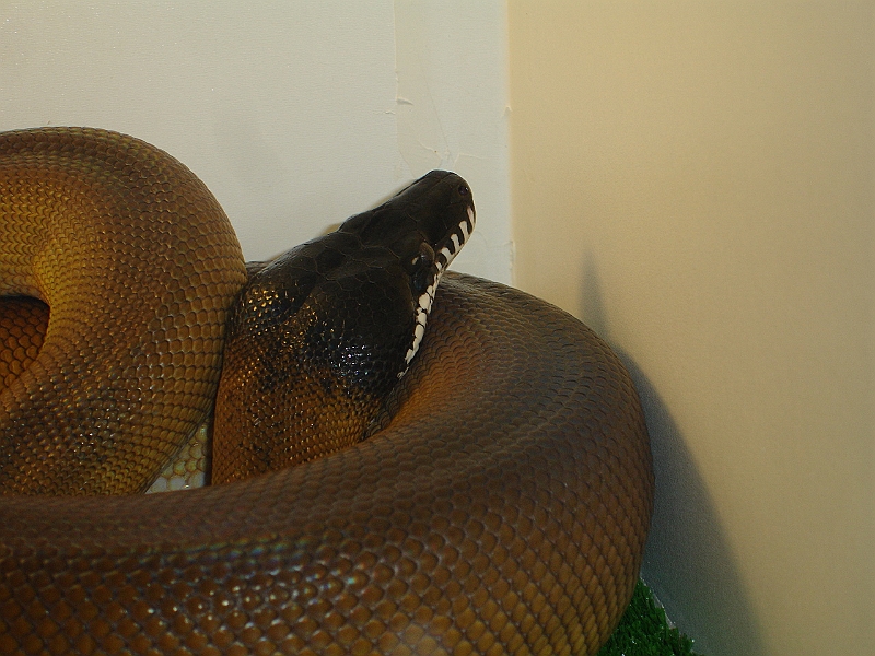DSC06855.JPG