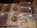 DSC06758