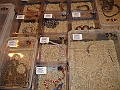 DSC06764