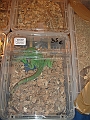 DSC06768