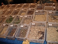 DSC06770