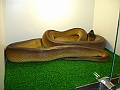 DSC06788