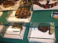 DSC06790
